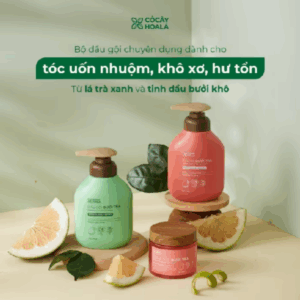 Dầu Gội Thảo Dược Cỏ Cây Hoa Lá Bưởi Trà Dưỡng Tóc Mềm Mượt