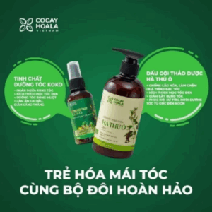 Dầu Gội Xả Hà Thủ Ô 2In1