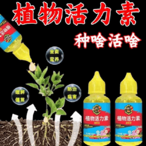 Thuốc Kích Thích Mọc Rễ