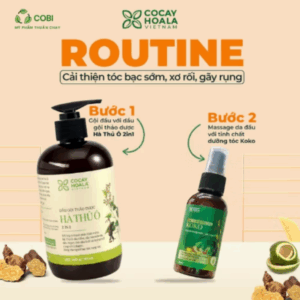 Dầu Gội Xả 2in1 Hà Thủ Ô